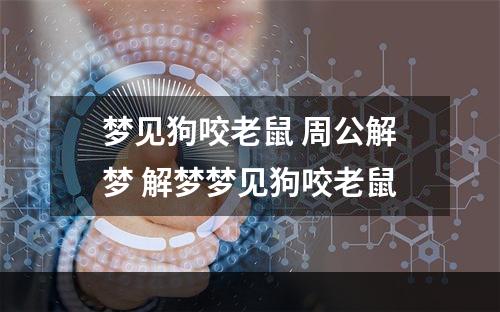 梦见狗咬老鼠 周公解梦 解梦梦见狗咬老鼠