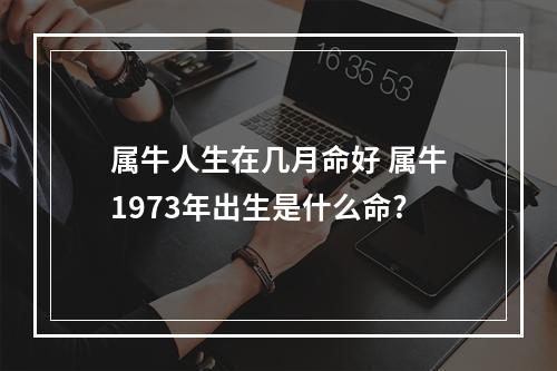 属牛人生在几月命好 属牛1973年出生是什么命?