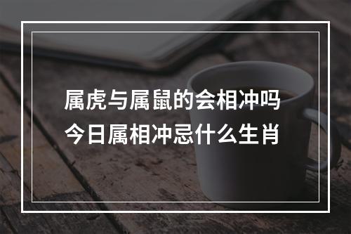 属虎与属鼠的会相冲吗 今日属相冲忌什么生肖