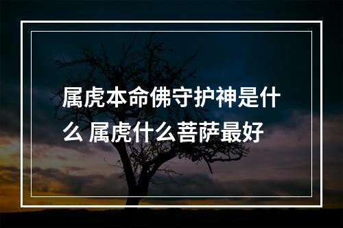 属虎本命佛守护神是什么 属虎什么菩萨最好