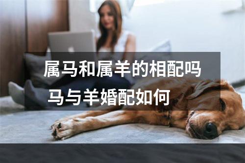 属马和属羊的相配吗 马与羊婚配如何