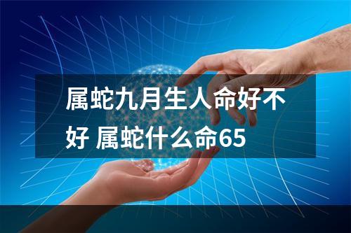 属蛇九月生人命好不好 属蛇什么命65