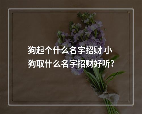 狗起个什么名字招财 小狗取什么名字招财好听?