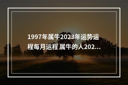 1997年属牛2023年运势运程每月运程 属牛的人2023年运势?