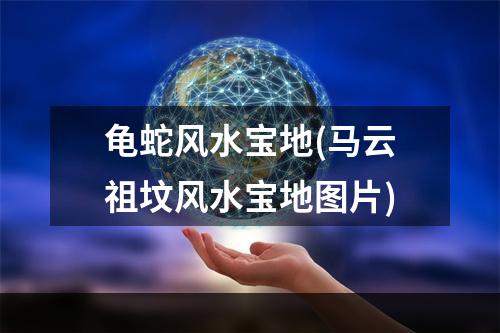 龟蛇风水宝地(马云祖坟风水宝地图片)