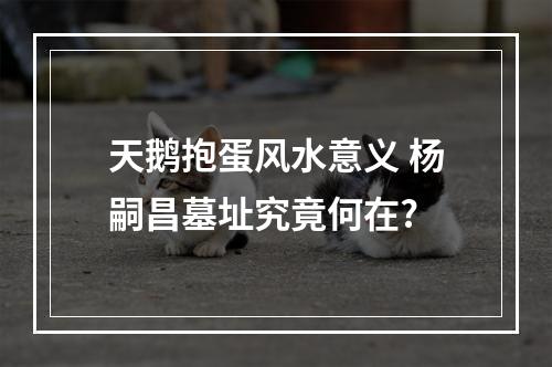 天鹅抱蛋风水意义 杨嗣昌墓址究竟何在?