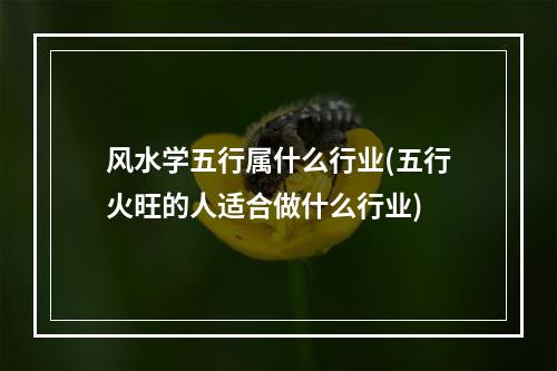 风水学五行属什么行业(五行火旺的人适合做什么行业)