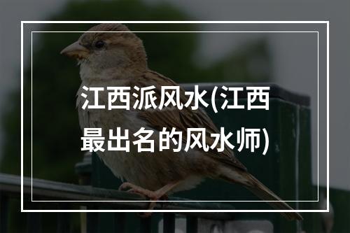 江西派风水(江西最出名的风水师)