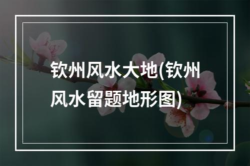 钦州风水大地(钦州风水留题地形图)