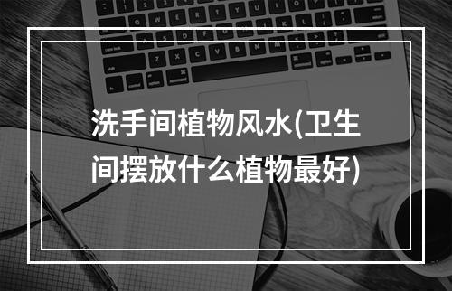 洗手间植物风水(卫生间摆放什么植物最好)