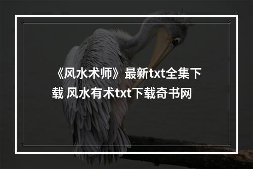 《风水术师》最新txt全集下载 风水有术txt下载奇书网