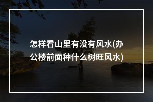 怎样看山里有没有风水(办公楼前面种什么树旺风水)