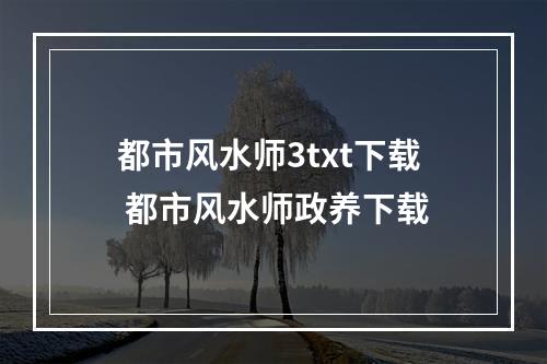 都市风水师3txt下载 都市风水师政养下载
