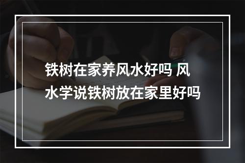 铁树在家养风水好吗 风水学说铁树放在家里好吗