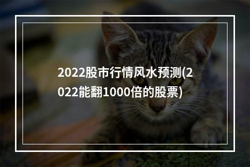 2022股市行情风水预测(2022能翻1000倍的股票)
