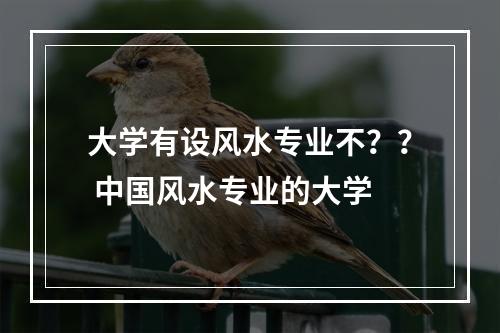 大学有设风水专业不？？ 中国风水专业的大学