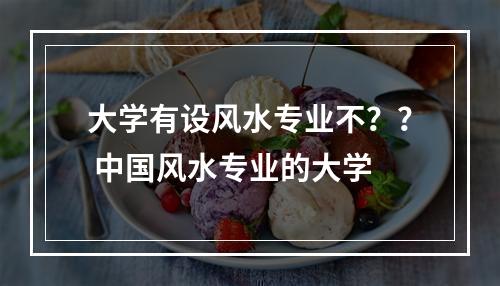 大学有设风水专业不？？ 中国风水专业的大学