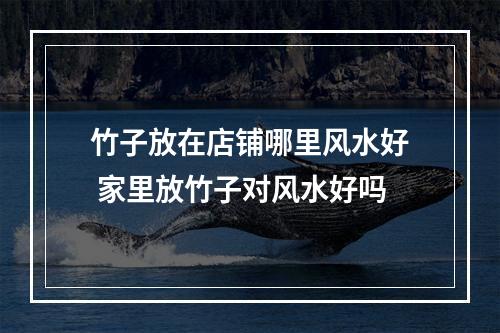 竹子放在店铺哪里风水好 家里放竹子对风水好吗