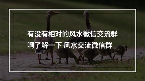有没有相对的风水微信交流群啊了解一下 风水交流微信群