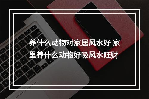 养什么动物对家居风水好 家里养什么动物好吸风水旺财