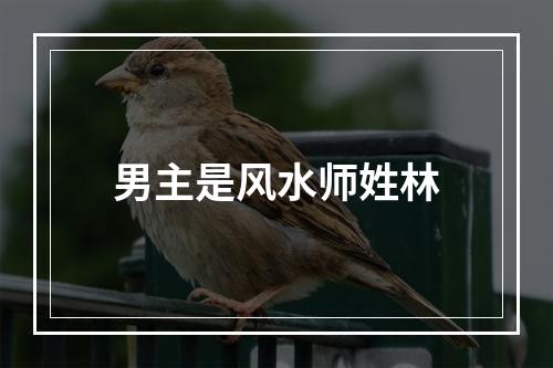 男主是风水师姓林