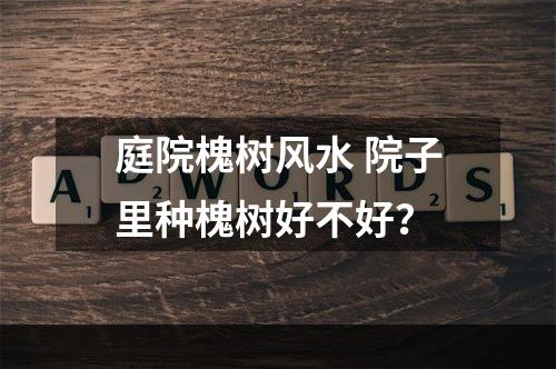 庭院槐树风水 院子里种槐树好不好？