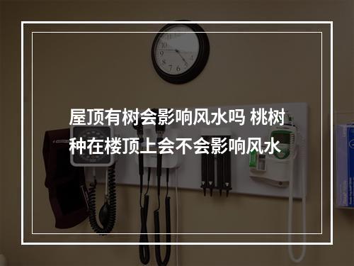 屋顶有树会影响风水吗 桃树种在楼顶上会不会影响风水