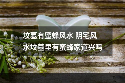 坟墓有蜜蜂风水 阴宅风水坟墓里有蜜蜂家道兴吗