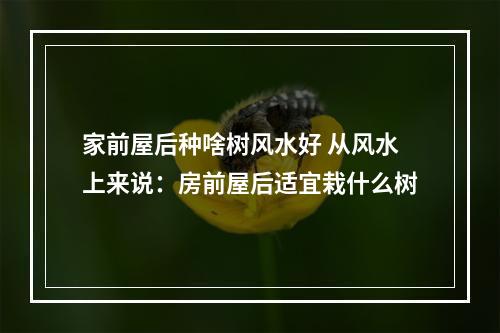 家前屋后种啥树风水好 从风水上来说：房前屋后适宜栽什么树