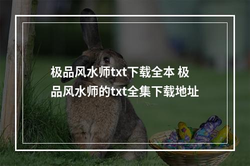 极品风水师txt下载全本 极品风水师的txt全集下载地址