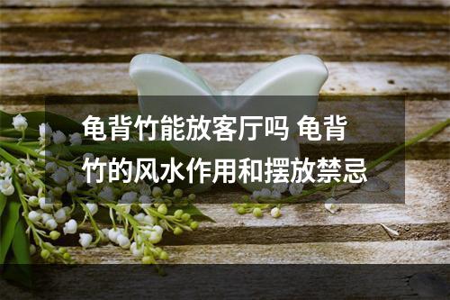 龟背竹能放客厅吗 龟背竹的风水作用和摆放禁忌