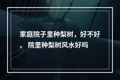 家庭院子里种梨树，好不好。 院里种梨树风水好吗