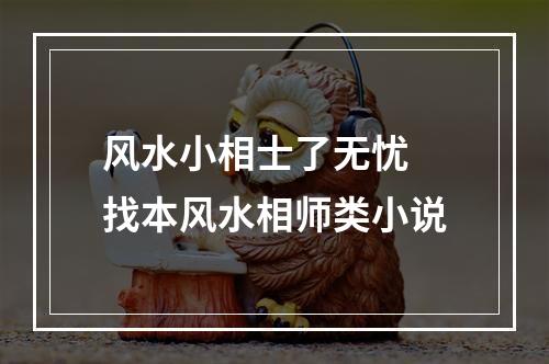 风水小相士了无忧 找本风水相师类小说