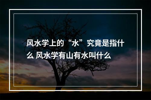 风水学上的“水”究竟是指什么 风水学有山有水叫什么