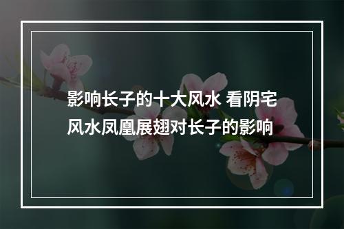 影响长子的十大风水 看阴宅风水凤凰展翅对长子的影响