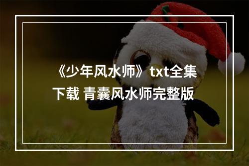《少年风水师》txt全集下载 青囊风水师完整版