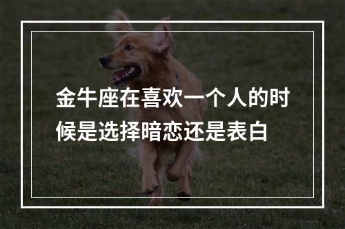金牛座在喜欢一个人的时候是选择暗恋还是表白
