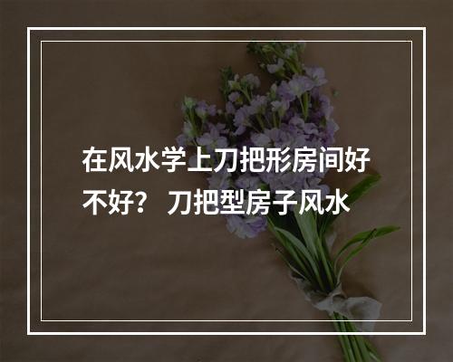 在风水学上刀把形房间好不好？ 刀把型房子风水
