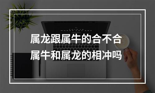 属龙跟属牛的合不合 属牛和属龙的相冲吗