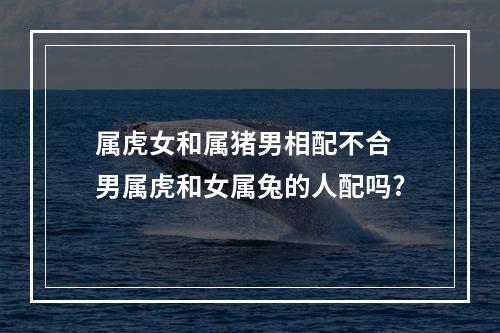 属虎女和属猪男相配不合 男属虎和女属兔的人配吗?