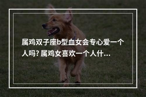 属鸡双子座b型血女会专心爱一个人吗? 属鸡女喜欢一个人什么态度
