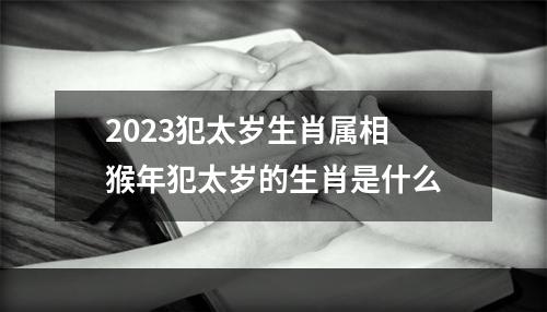 2023犯太岁生肖属相 猴年犯太岁的生肖是什么