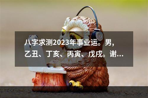 八字求测2023年事业运。男,乙丑、丁亥、丙寅、戊戌。谢谢! 2023下半年事业变动的八字