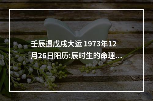 壬辰遇戊戌大运 1973年12月26日阳历:辰时生的命理,日柱