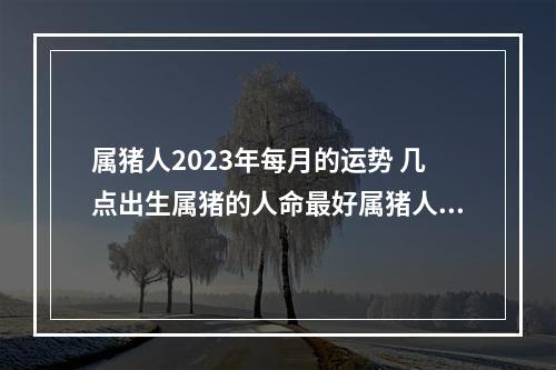 属猪人2023年每月的运势 几点出生属猪的人命最好属猪人命运如何