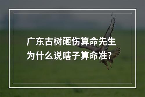 广东古树砸伤算命先生 为什么说瞎子算命准?