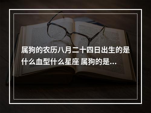 属狗的农历八月二十四日出生的是什么血型什么星座 属狗的是什么血型