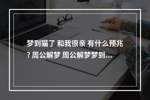 梦到猫了 和我很亲 有什么预兆? 周公解梦 周公解梦梦到猫是什么意思