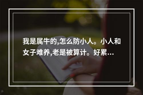 我是属牛的,怎么防小人。小人和女子难养,老是被算计。好累呀 属牛的如何防小人