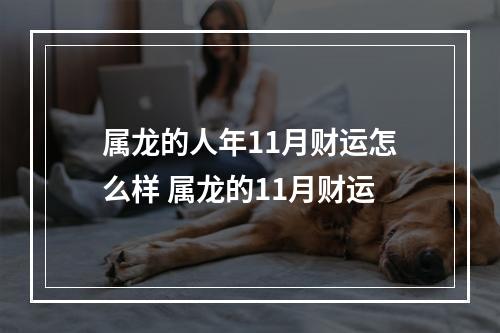 属龙的人年11月财运怎么样 属龙的11月财运